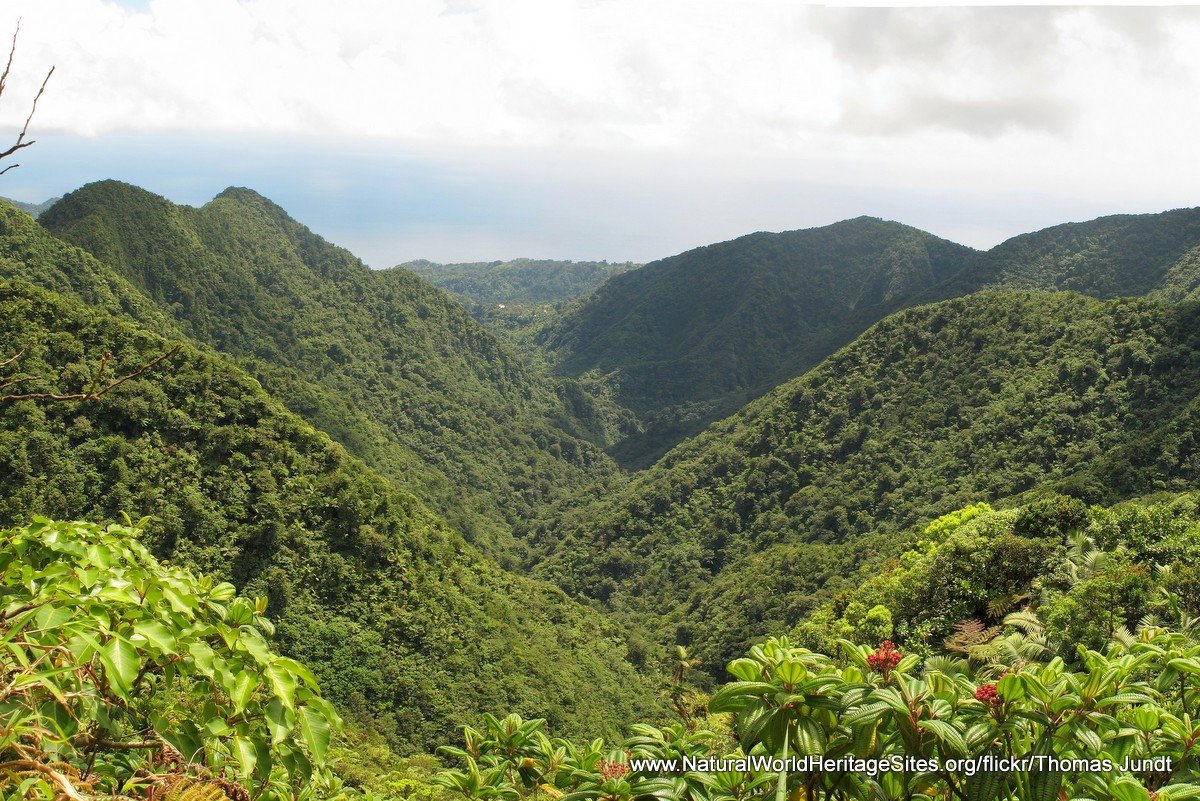 1000625122_89f424e477acccbe596f5f6c4cd414fa-27_09_2024, 10_56_09 am