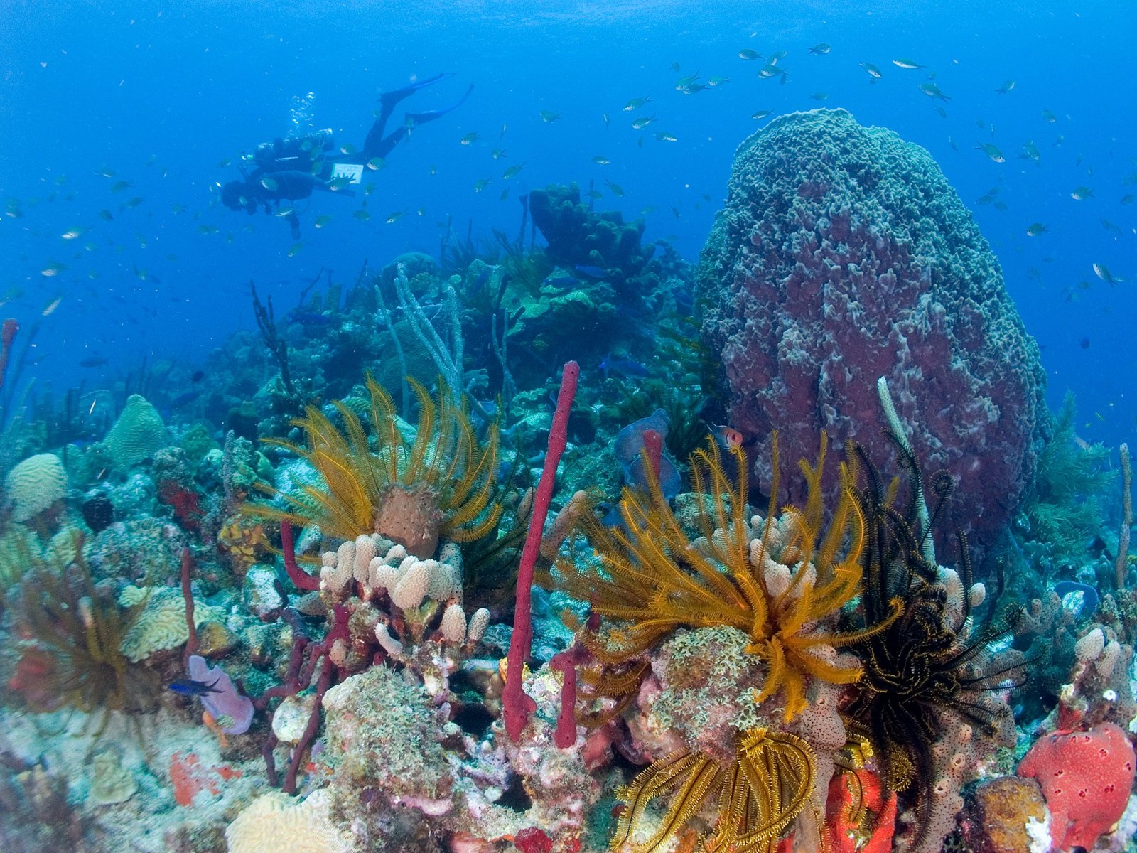 1000625371_da611c768237c7fab024ea218e016823-27_09_2024, 3_46_00 pm