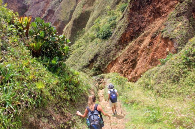 1000625415_7cded2a33fddb494af845ae8a787861a-27_09_2024, 4_03_24 pm