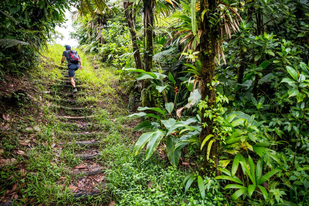 1000633021_76065f36b316ec0fcd5c49f71246bdc8-02_10_2024, 10_49_57 am