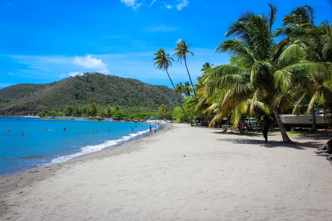 WhatsApp Image 2025-01-21 at 06.43.46-2