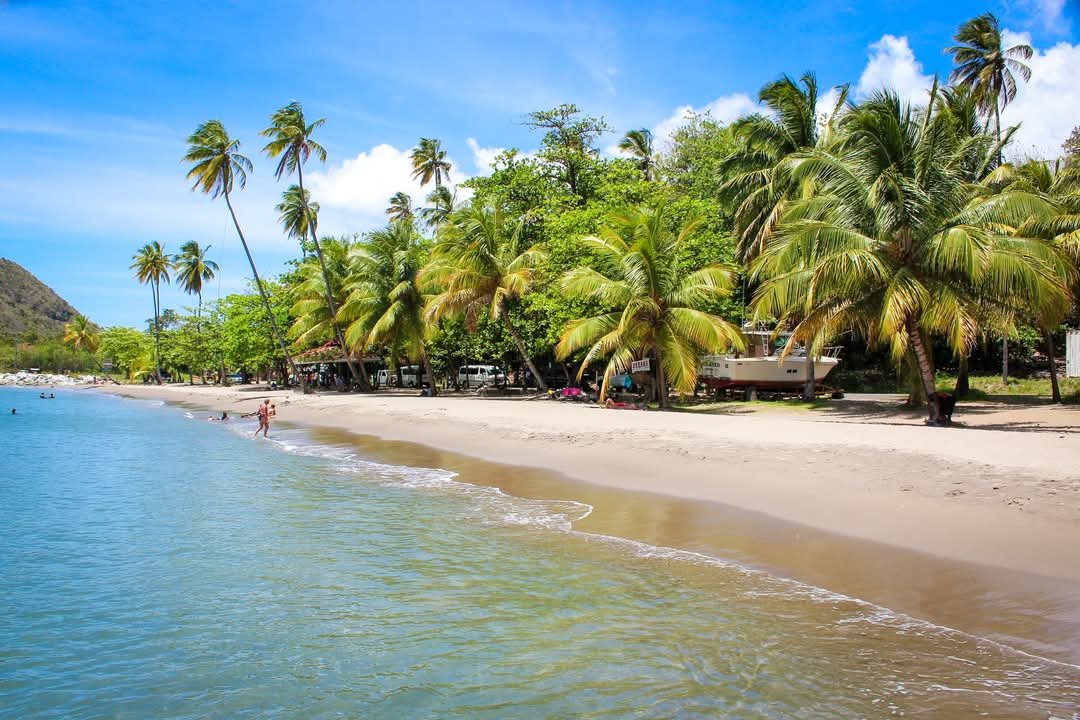 WhatsApp Image 2025-01-21 at 06.43.46-3